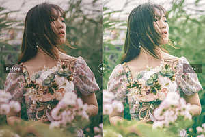 Dianella Pro Lightroom Presets