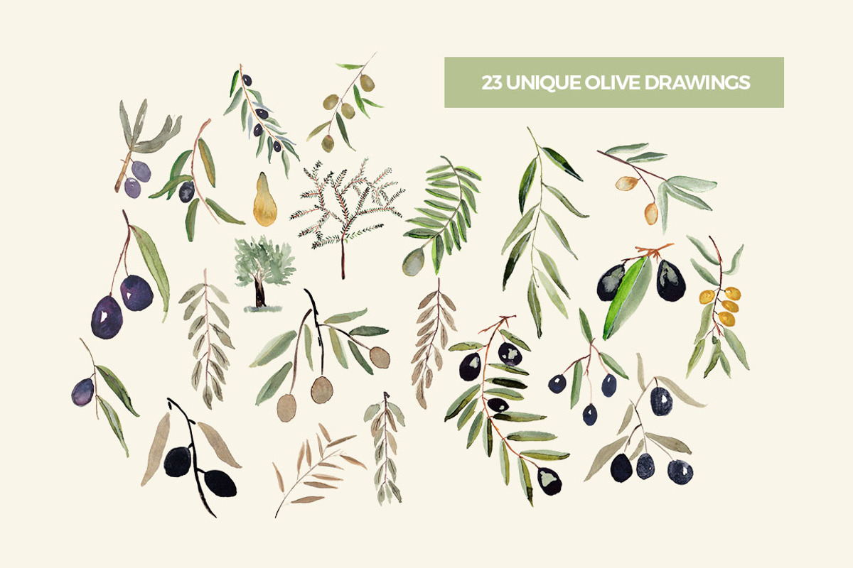 Olive Garden Watercolor Collection, an Illustration by Spirit of Colors (Photo 2 of 6)