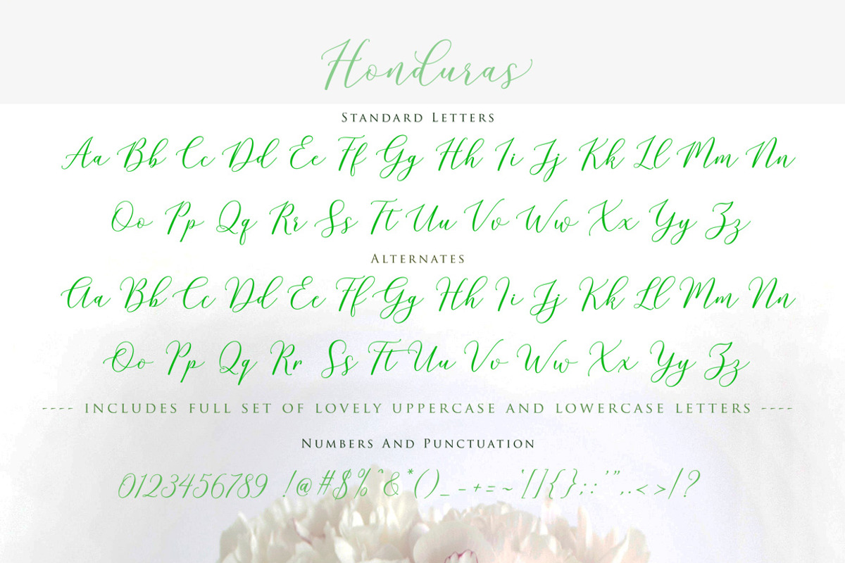Honduras Script, a Script Font by Gatype (Photo 7 of 7)