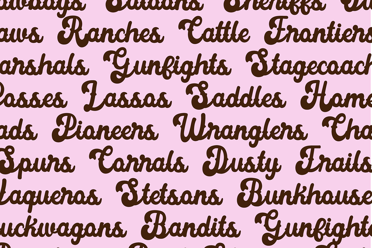 WILD AND WESTERN Font Bundle, a Handwritten Font by Blush Font Co. (Photo 3 of 9)