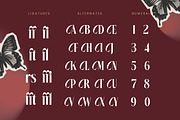 Rigflia Nirsho Modern Serif Font, a Serif Font by timelesstype.co (Thumbnail 18 of 20)