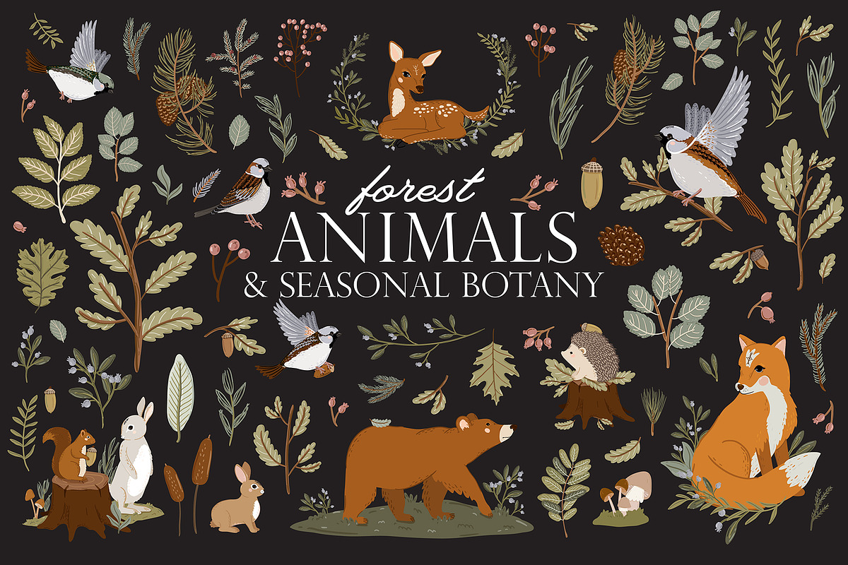 Forest Animals & Seasonal Botany, an Illustration by Ruslana Lubenets (Photo 1 of 21)