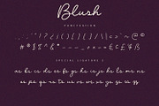 Blush - Script Font, a Script Font by Alpaprana (Thumbnail 9 of 10)