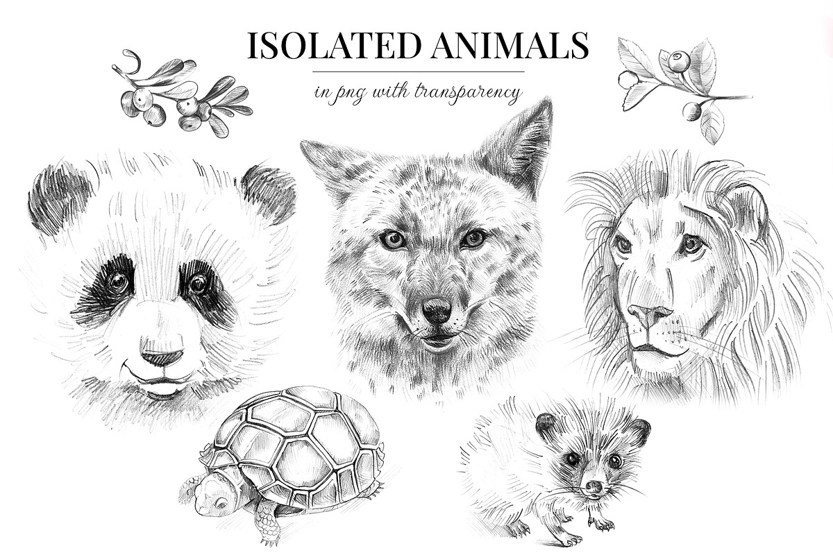 Wild animals. Sketch edition. 22 PNG, an Animal Illustration by Art by Lady Natali (Photo 2 of 6)