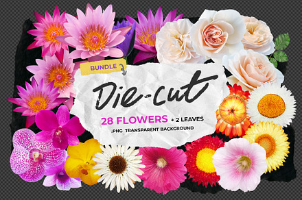 Die-cut Real Flowers Set 2 Bundle