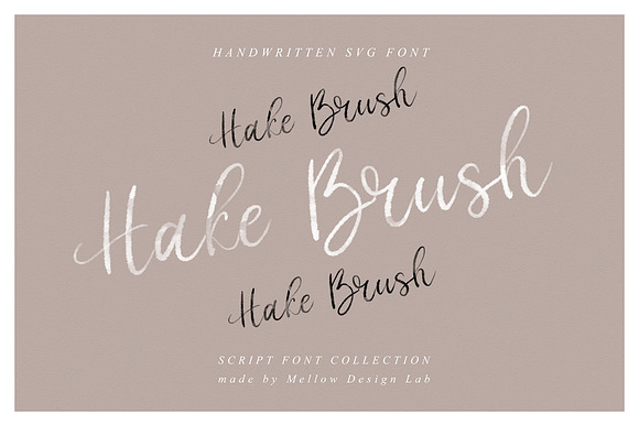 Hake Brush SVG Script preview 8