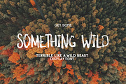 Something Wild, a Handwritten Font by supfonts (Thumbnail 1 of 5)