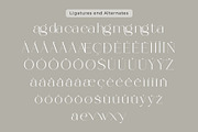 Bowsinge - A Beauty Modern Serif, a Serif Font by Muflieart (Thumbnail 10 of 10)
