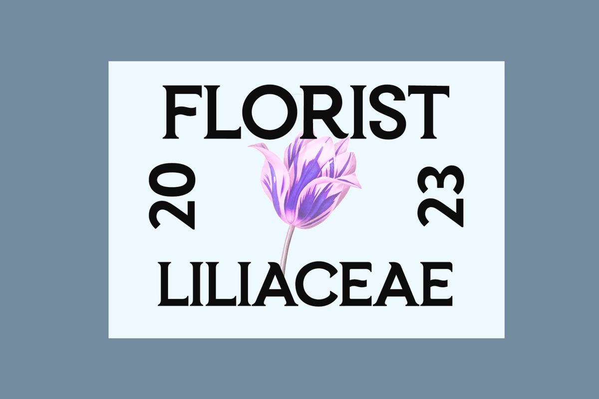 Frozenca Modern Serif Display Font, a Serif Font by UICreative (Photo 3 of 12)