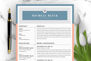 Professional And Creative Resume