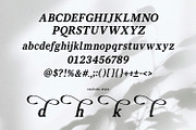 Vanielst Elegant Serif Stylistic, a Serif Font by Maulana Creative (Thumbnail 4 of 7)