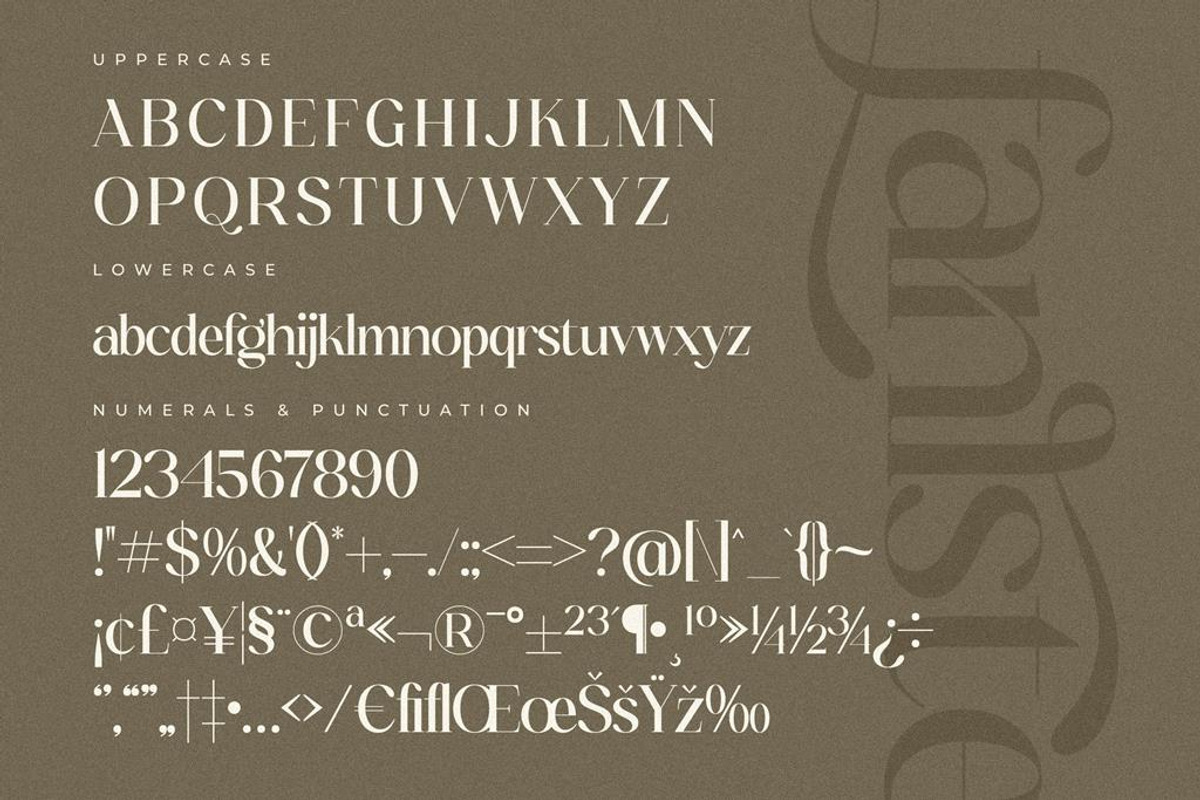Fanlste Ligature Typeface Font, a Serif Font by Storytype Studio (Photo 11 of 13)