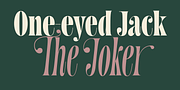 Aabak, a Serif Font by Polimateria (Thumbnail 5 of 12)