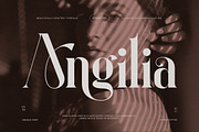 Angilia Elegant Ligature Serif Font, a Serif Font by Perfectype (Thumbnail 1 of 9)