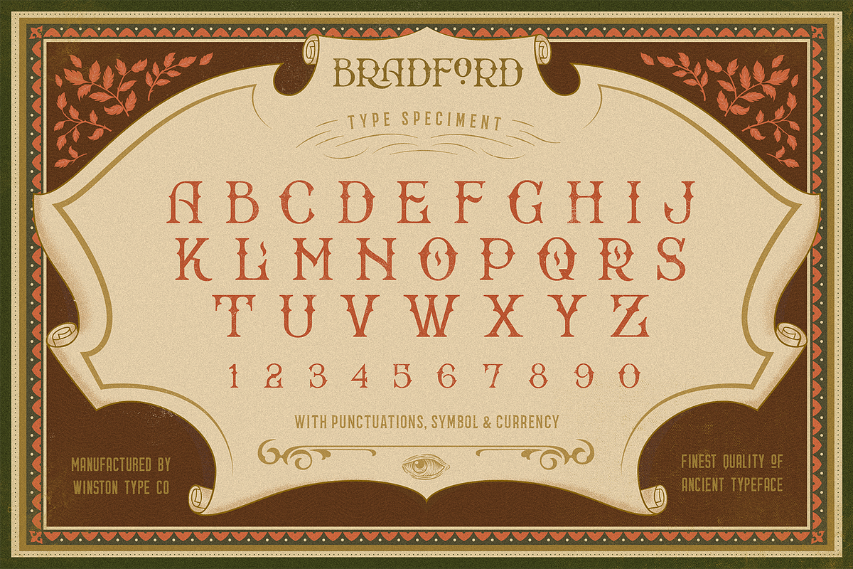 WT Bradford preview 7