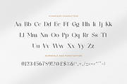 The Devine - Modern Stylish, a Serif Font by RockboyStd (Thumbnail 9 of 12)