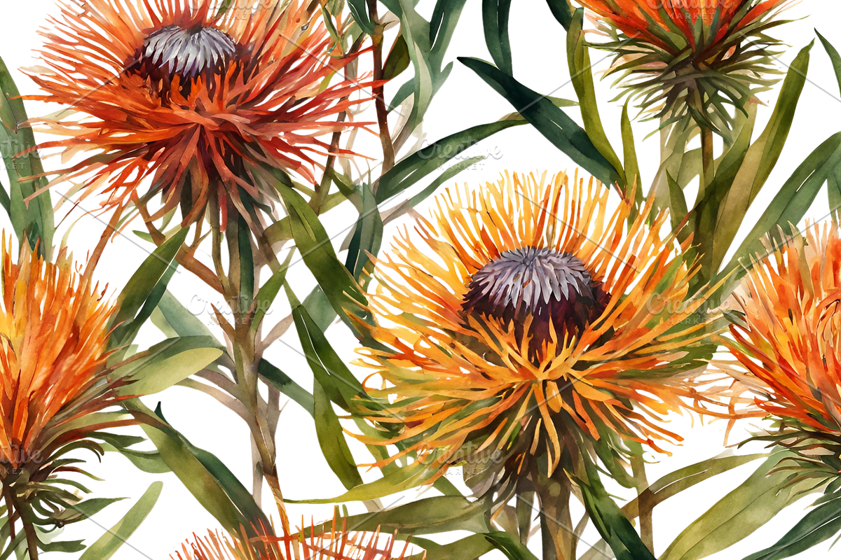 Pincushion Protea Flowers, a Decorative Illustration by Karliefie (Photo 3 of 8)