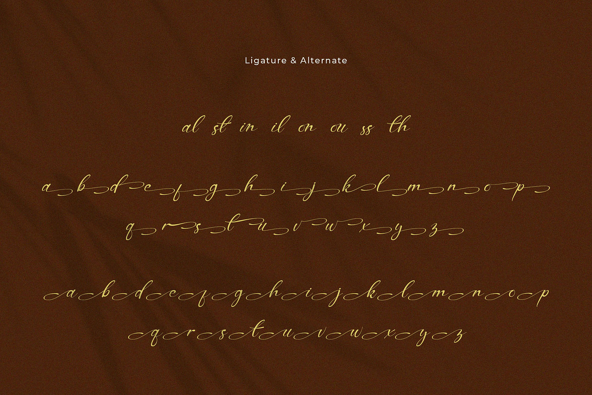 Selonika – Handwritten Script Font, a Handwritten Font by BrandSemut (Photo 11 of 11)