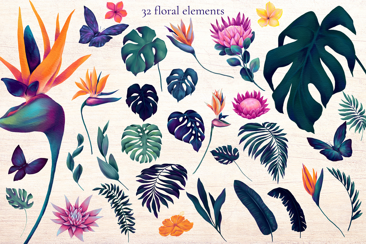 Monstera and Strelitzia watercolor, an Illustration by Salted Galaxy (Photo 8 of 15)