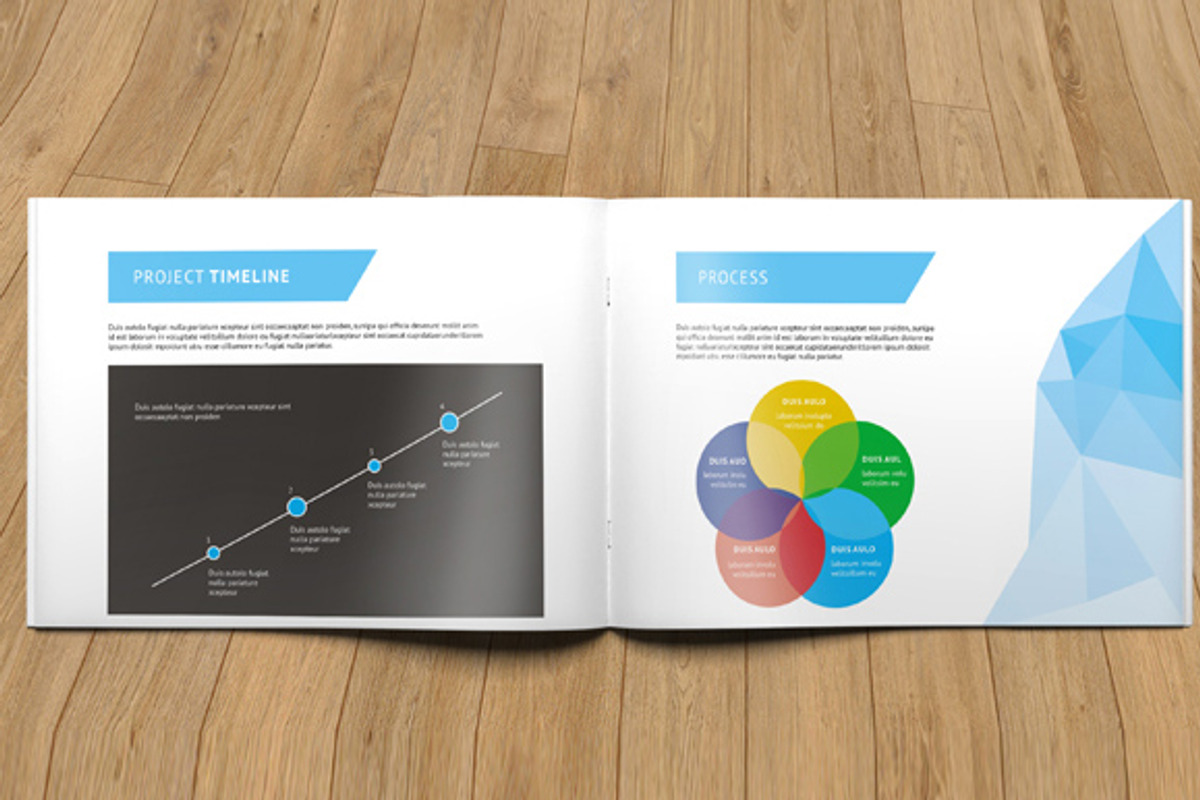 Indesign Business Proposal-V213, a Brochure Template by Template Shop (Photo 6 of 11)