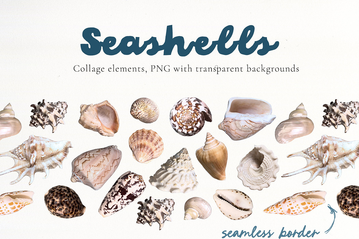 Ocean watercolor background animals, a Background Graphic by Yuliya Derbisheva (Photo 13 of 15)