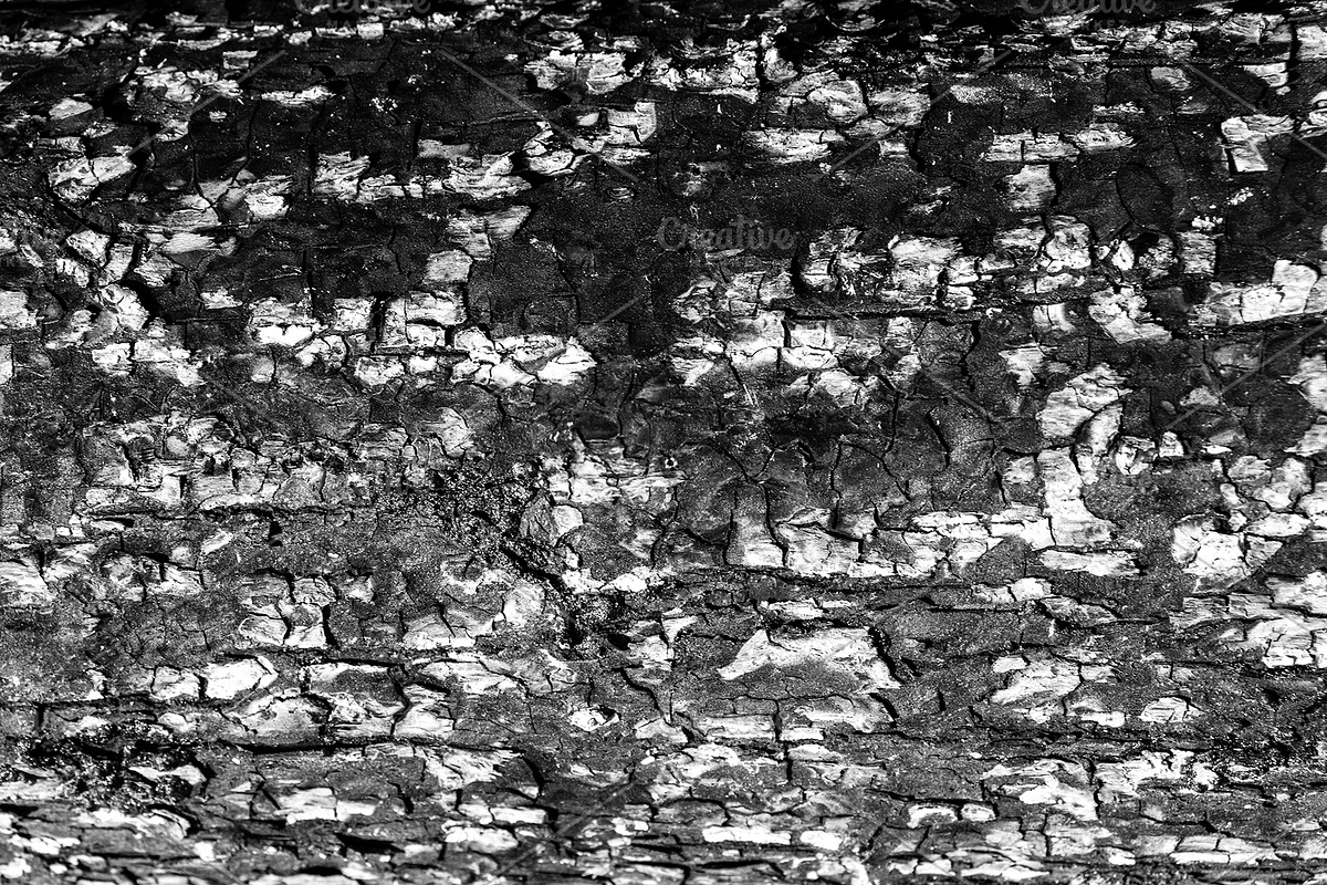 A close-up image of a texture tree, a Background Photo by Schreibikus (Photo 10 of 10)