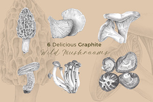 6 Graphite Gourmet Wild Mushrooms