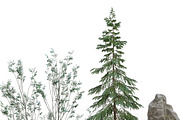Artistic Nature Mockup #01, a Product Mockup by ARKS ACADEMY (Thumbnail 3 of 11)