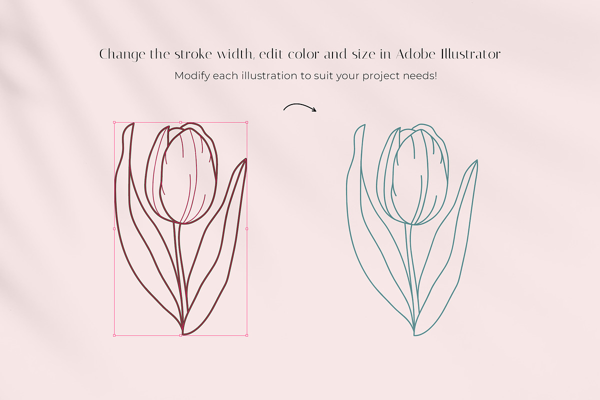 Floral logo elements and templates, a Graphic by Vasylyka (Photo 12 of 12)