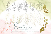 Watercolor Eucalyptus SET, a Decorative Illustration by TanataDesign (Thumbnail 12 of 16)