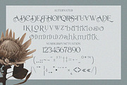 Belarose - Modern Elegant Serif, a Serif Font by Qweera Studio (Thumbnail 10 of 12)