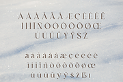 Ankadi Serif, a Serif Font by Creative Foundry (Thumbnail 7 of 8)