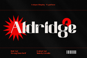 Aldridge - Modern Display Font