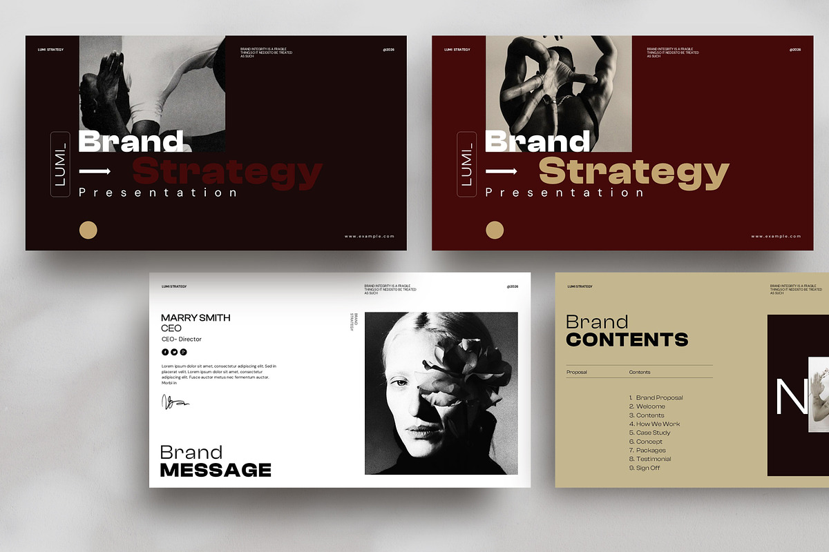Lumi Brand Strategy Presentation preview 4
