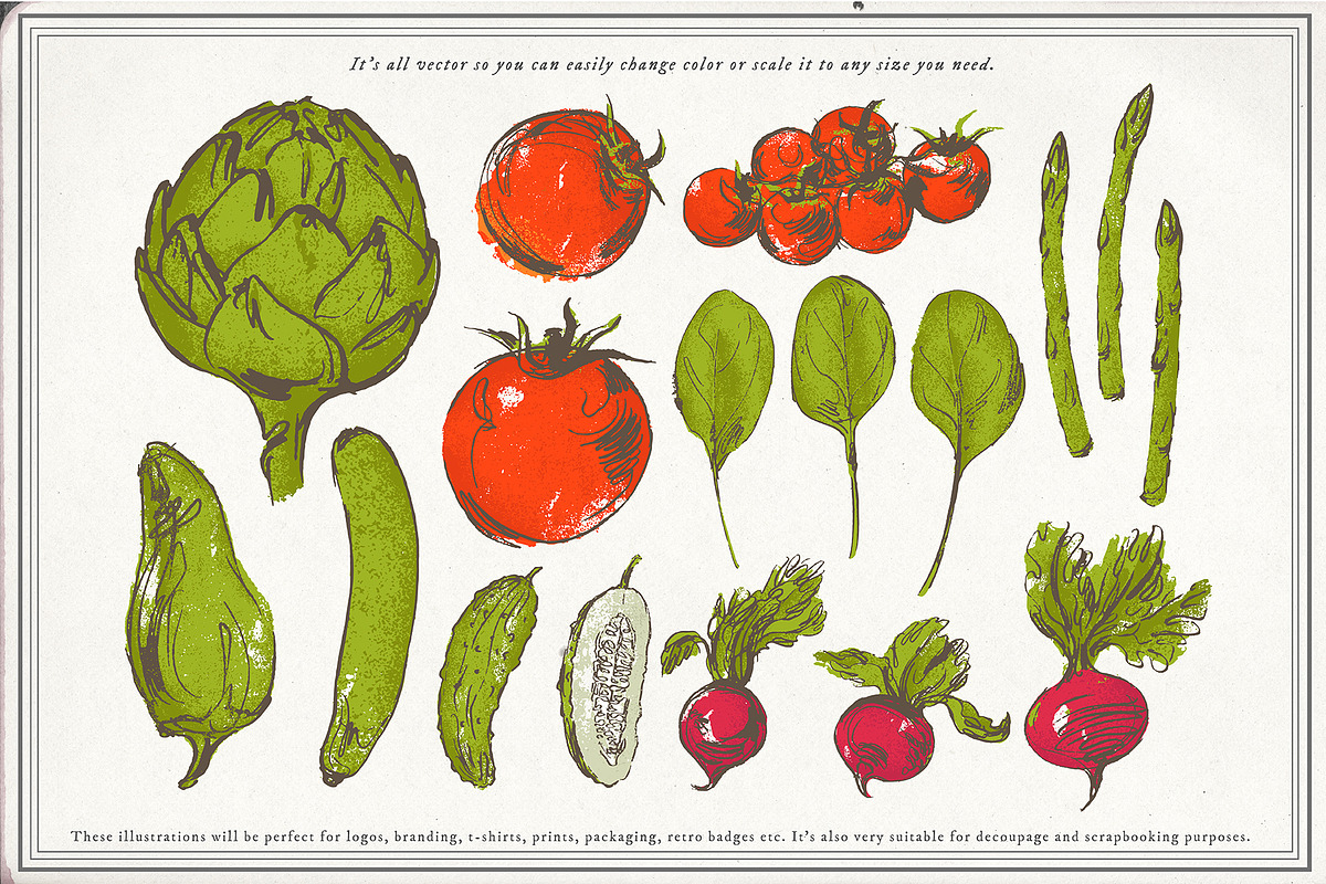 Vegetable collection 1, an Object Graphic by Siosay (Photo 10 of 11)
