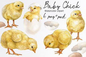 Watercolor easter chicken clipart