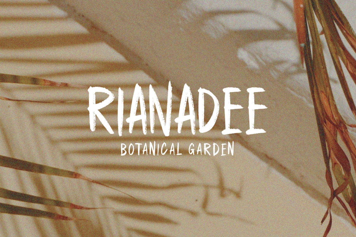 Medalin - Brush Font, a Handwritten Font by tebaltipislab (Photo 2 of 9)