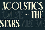 Garaleo Modern Luxury Serif, a Script Font by timelesstype.co (Thumbnail 7 of 20)