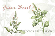 Green Basil Botanical Illustration, a Food Illustration by RabbitAndPencil (Thumbnail 1 of 3)