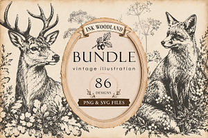 Woodland Ink Illustration Bundle