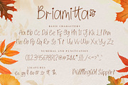Briamitta, a Script Font by AEN Creative Studio (Thumbnail 7 of 9)