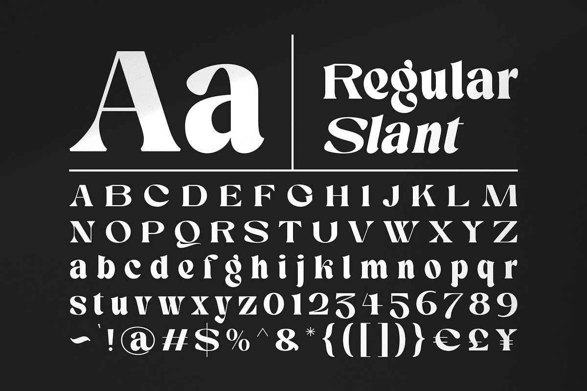 Silent Elegance - Clean Serif, a Serif Font by ErgibiStudio (Photo 9 of 10)