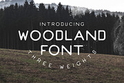 Revelation Script + Woodland Font, a Script Font by Will Paterson Design Co. (Thumbnail 5 of 6)