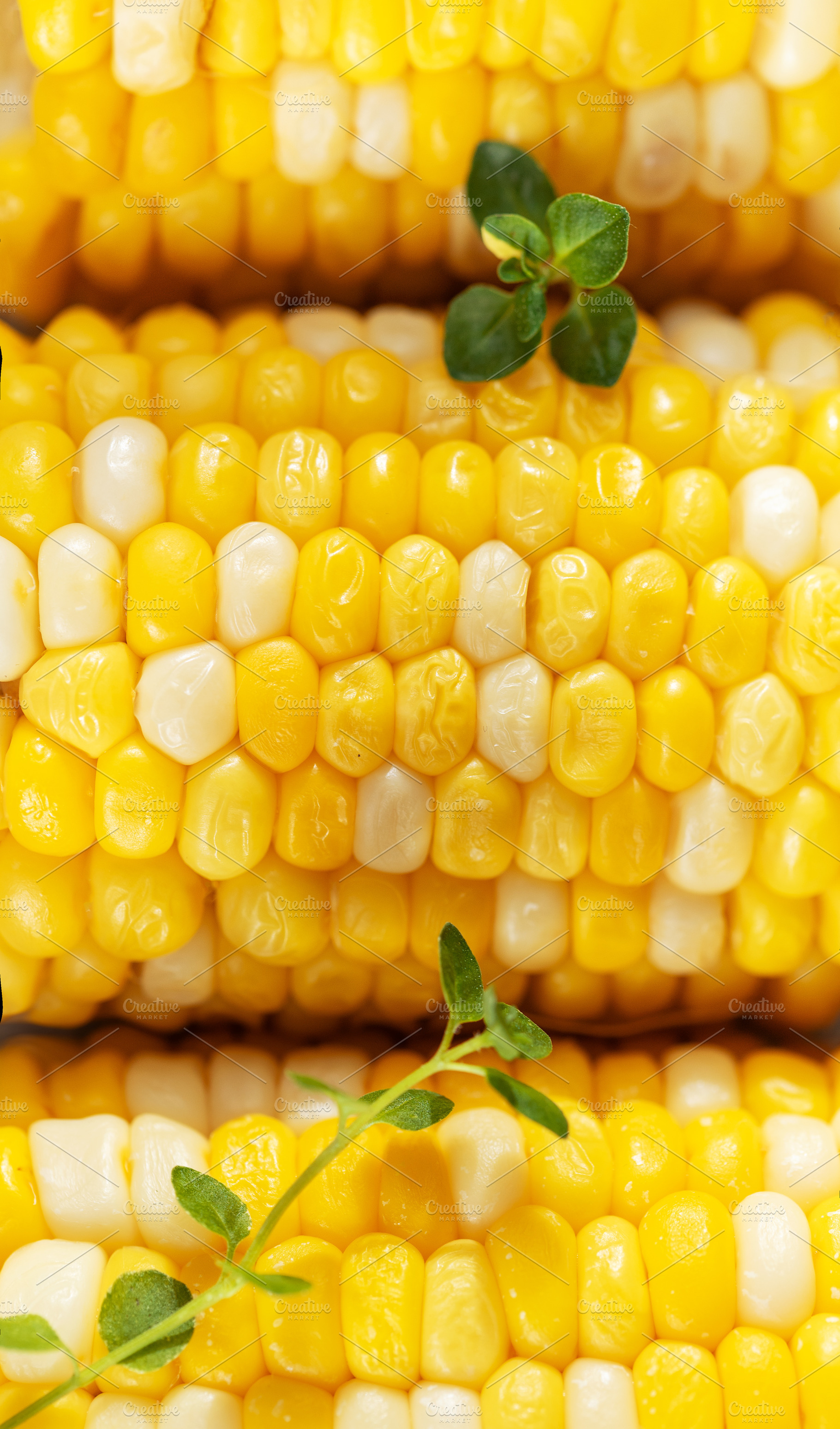 Fresh corn kernels close up with green leaves, a Food & Drink Photo by Olena Rudo