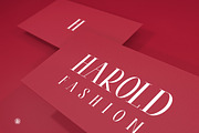 Harold, a Serif Font by Webvilla Studio (Thumbnail 3 of 7)