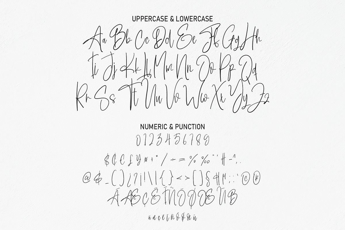 Sligature | Script Font, a Script Font by Scratchones (Photo 7 of 8)