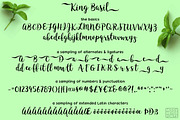 King Basil - handmade brush font, a Script Font by Missy Meyer (Thumbnail 5 of 8)