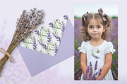 Lavender. Watercolor clip art., a Decorative Illustration by Farida Bik (Thumbnail 5 of 14)