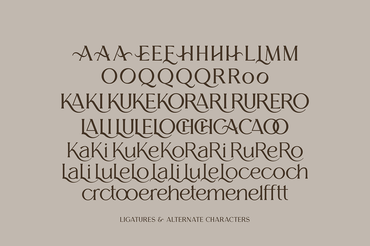 Melion, a Serif Font by OWL KING (Photo 4 of 13)