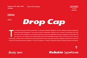 DV Curtis Sans, a Sans Serif Font by Damelev (Thumbnail 14 of 18)